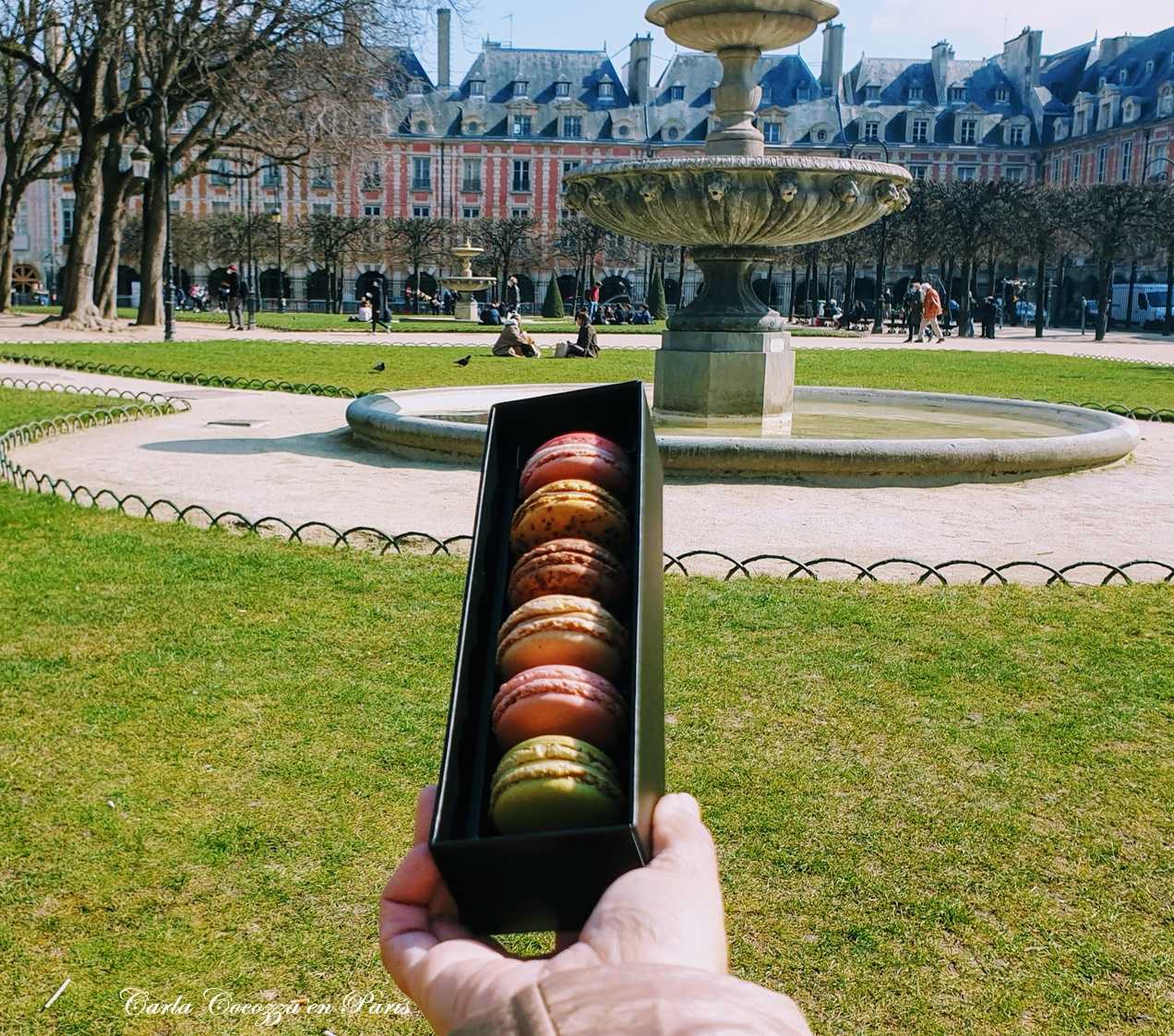 Día del Macaron Frances